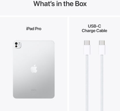 11-inch iPad Pro WiFi 256GB with Standard glass - Silver