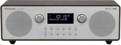 Panasonic RF-D100BTEGT brown