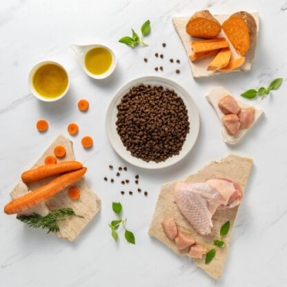 RAW PALEO Ultra Mini Puppy Turkey - Ξηρά Τροφή για Κουτάβια - 8 kg