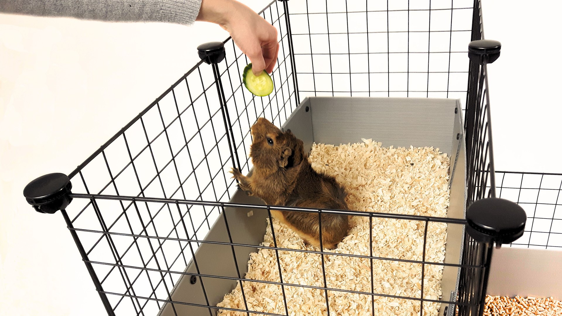 C&C modular cage one-storey 3x2 + Loft 2x1 + Silver ramp C&C modular cage one-storey 3x2 + Loft 2x1 + Silver ramp