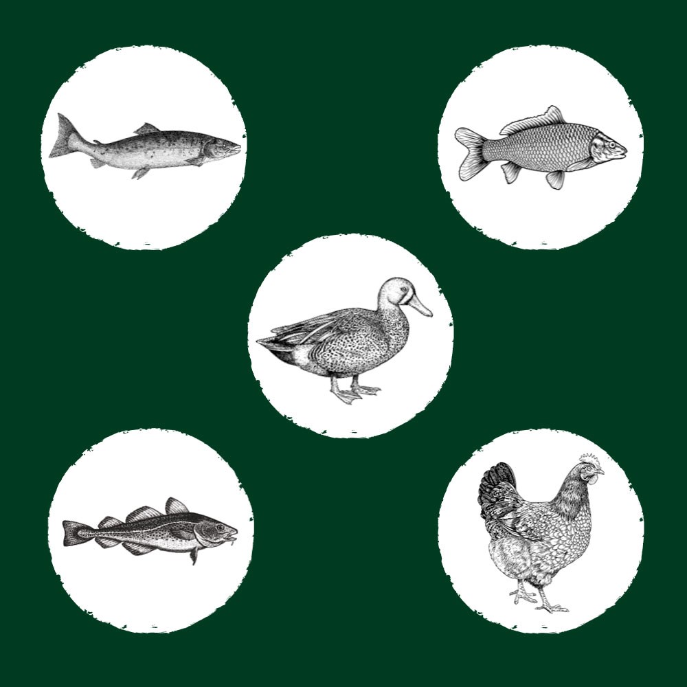 Eden Ξηρά Τροφή χωρίς Σιτηρά για Στειρωμένες Γάτες 10kg Eden Ξηρά Τροφή χωρίς Σιτηρά για Στειρωμένες Γάτες 10kg