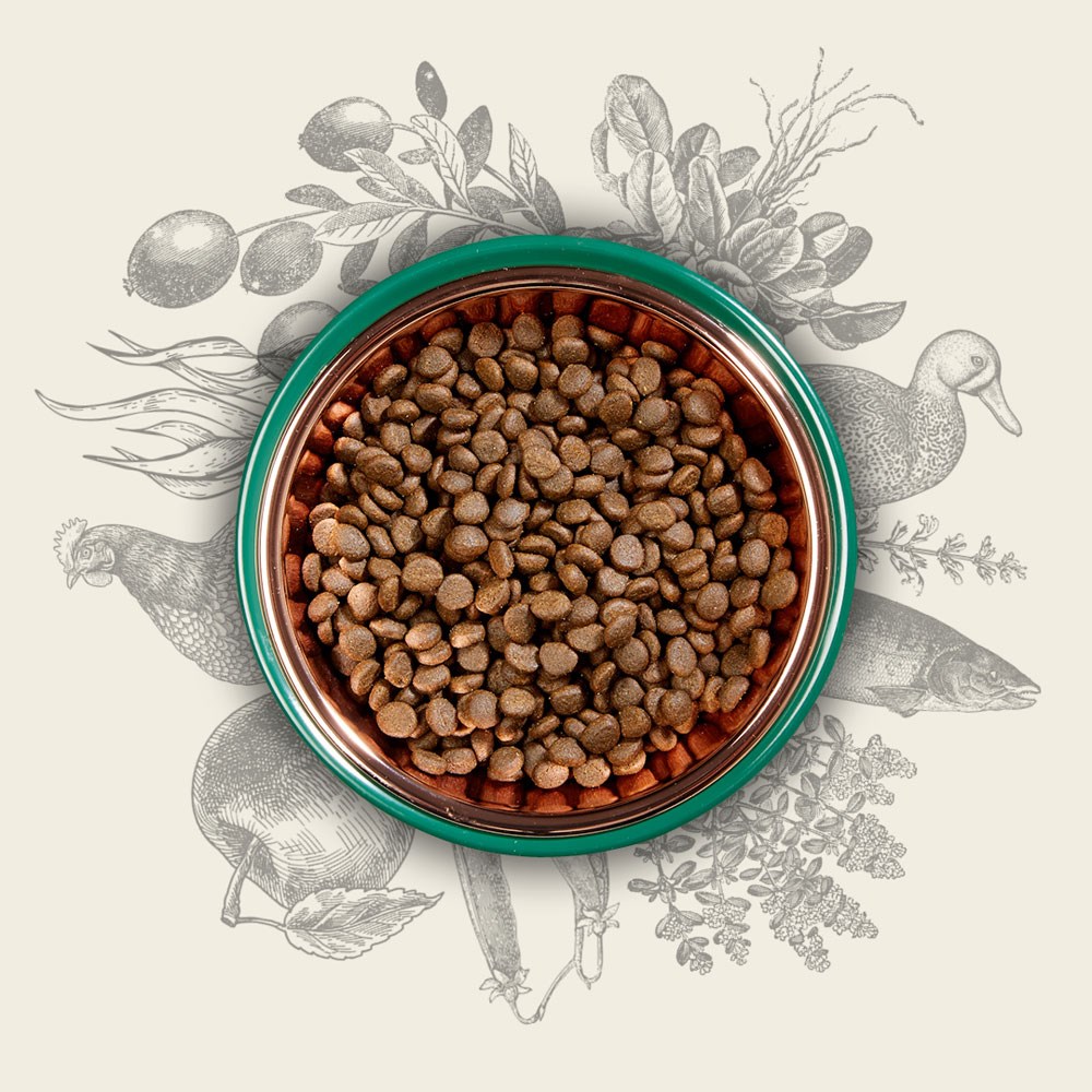 Eden Ξηρά Τροφή χωρίς Σιτηρά για Στειρωμένες Γάτες 10kg Eden Ξηρά Τροφή χωρίς Σιτηρά για Στειρωμένες Γάτες 10kg