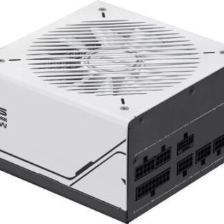 MSI MPG A1250GS 1250W PCIE5 80+ Gold power supply (306-7ZPFX11-CE0)