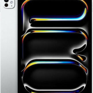 Apple iPad Pro 11'' WiFi 256GB 5Gen (2024) space schwarz