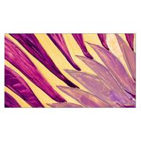 55 OLED CINEMA SCREEN,3840X2160,700NIT,HOTEL TV