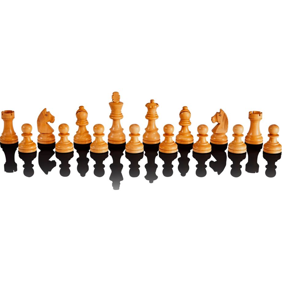 Millennium Chess Classics Exclusive Millennium Chess Classics Exclusive