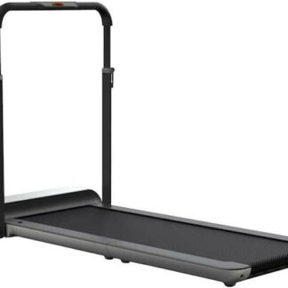 Kingsmith Walking Pad TRR1F electric treadmill