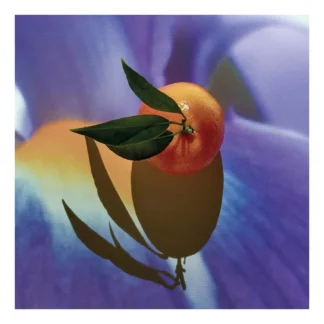 Loewe Solo Elixir Edp 100ml