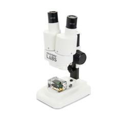 Labs S20 (CM44207)