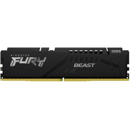 Memoria Kingston FURYÃ¯Â¿Â½ Beast DDR5 (KF560C30BBE-16)