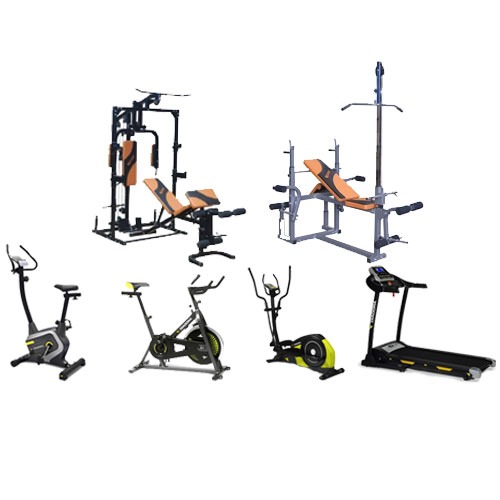 Όργανα Γυμναστικής