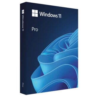 WIN 11 PRO 64BIT ITALIAN 1PK DSP OEI DVD OEM (FQC-10538) (FQC-10538)