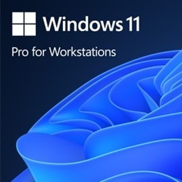 OEM Windows 11 Pro for Workstations PL x64 HZV-00117