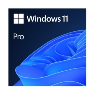 WIN 11 PRO 64BIT ITALIAN 1PK DSP OEI DVD OEM (FQC-10538) (FQC-10538)
