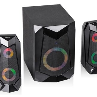 BT speaker karaoke TWS SoundBox480