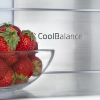 FK2995.2FTH(E) fridge-freezer