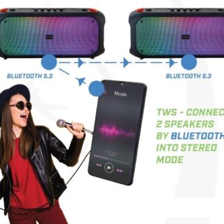 Bluetooth Speaker FM/USB SoundVox 650