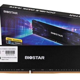 Biostar DDR4 Storming V memory module 8 GB 1 x 8 GB 3200 MHz (DX32NU4H08)