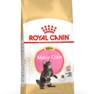 ROYAL CANIN Maine Coon Kitten- dry cat food - 4 kg