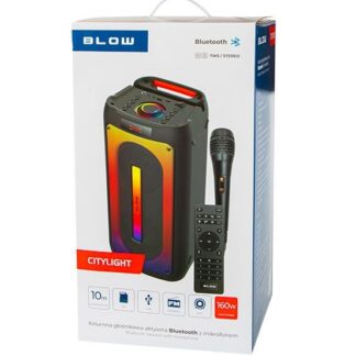 Speaker bluetooth with radio SSS 3100 KIDS 60W, LED panel