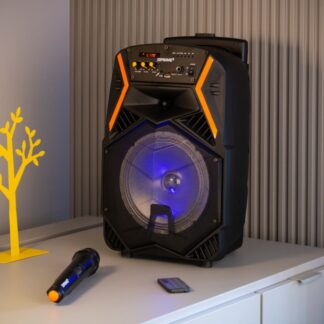 Portable speaker Bluetooth APS22