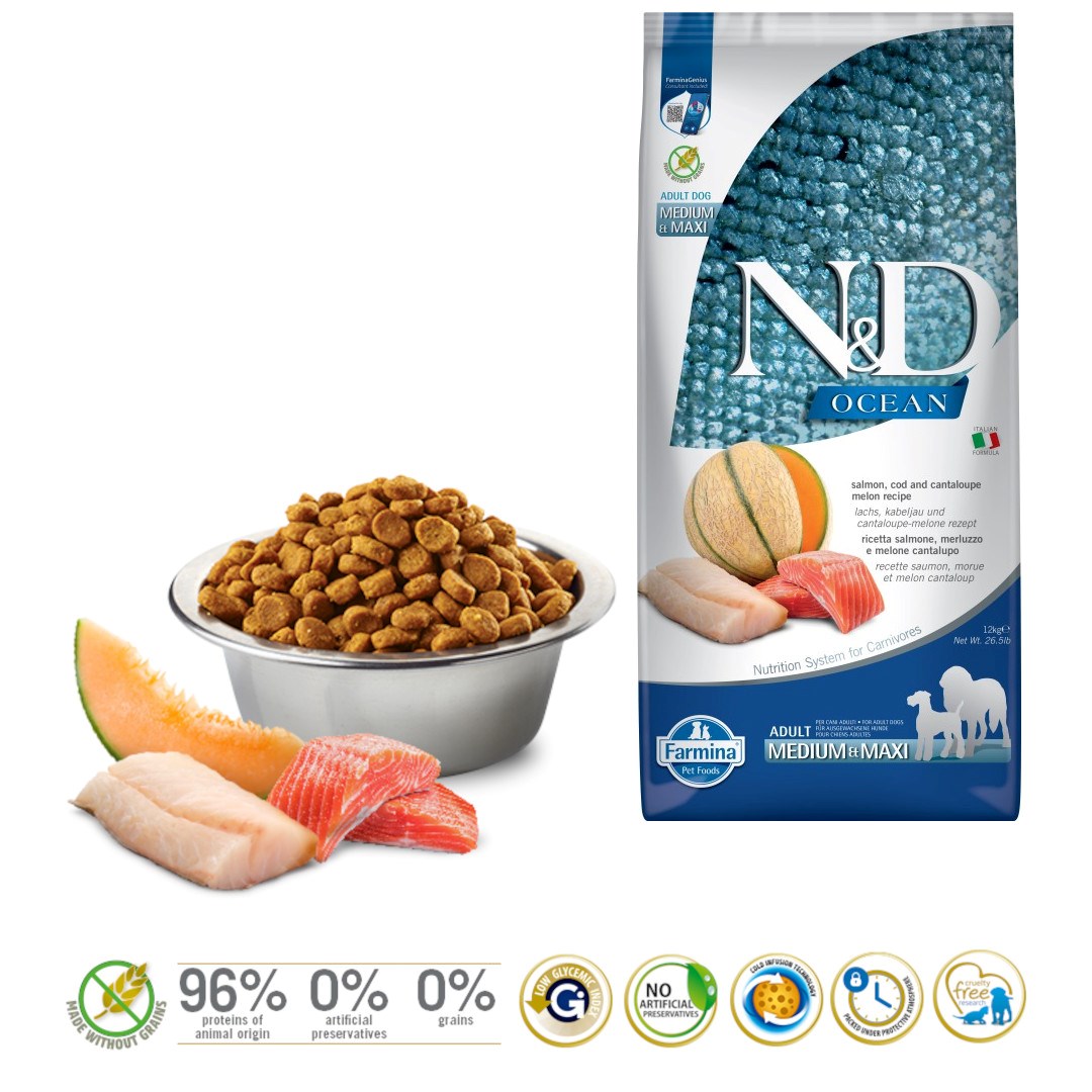 FARMINA N&D Ocean Dog Salmon Cod Cantaloupe Melon Adult Medium&Maxi - dry dog food - 12 kg FARMINA N&D Ocean Dog Salmon Cod Cantaloupe Melon Adult Medium&Maxi - dry dog food - 12 kg