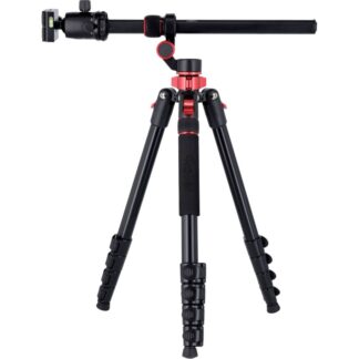 Rollei Compact Traveler No. 2 XL Photo